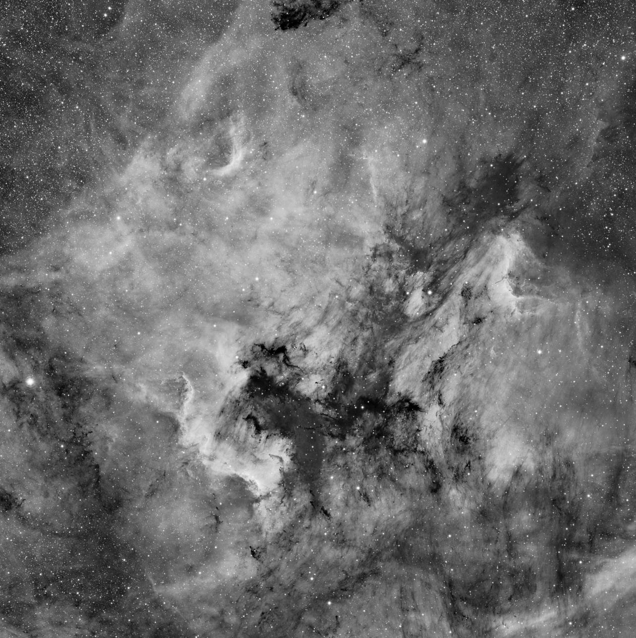 NGC7000 (Ha) et ses nuages de poussières en grand champ (3°30'x3°30') NGC7000Ha1E33