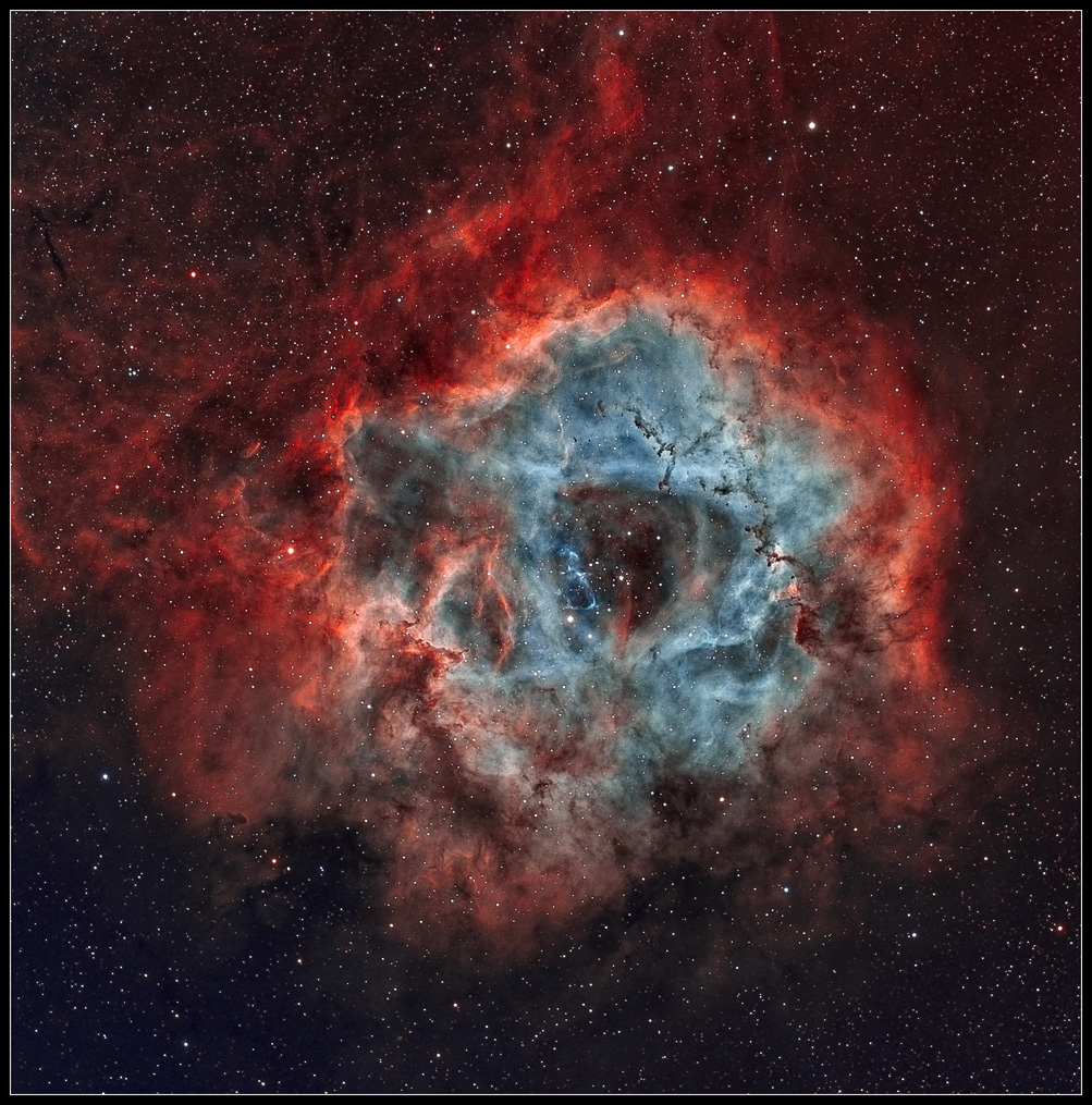 essai_rosette.jpg